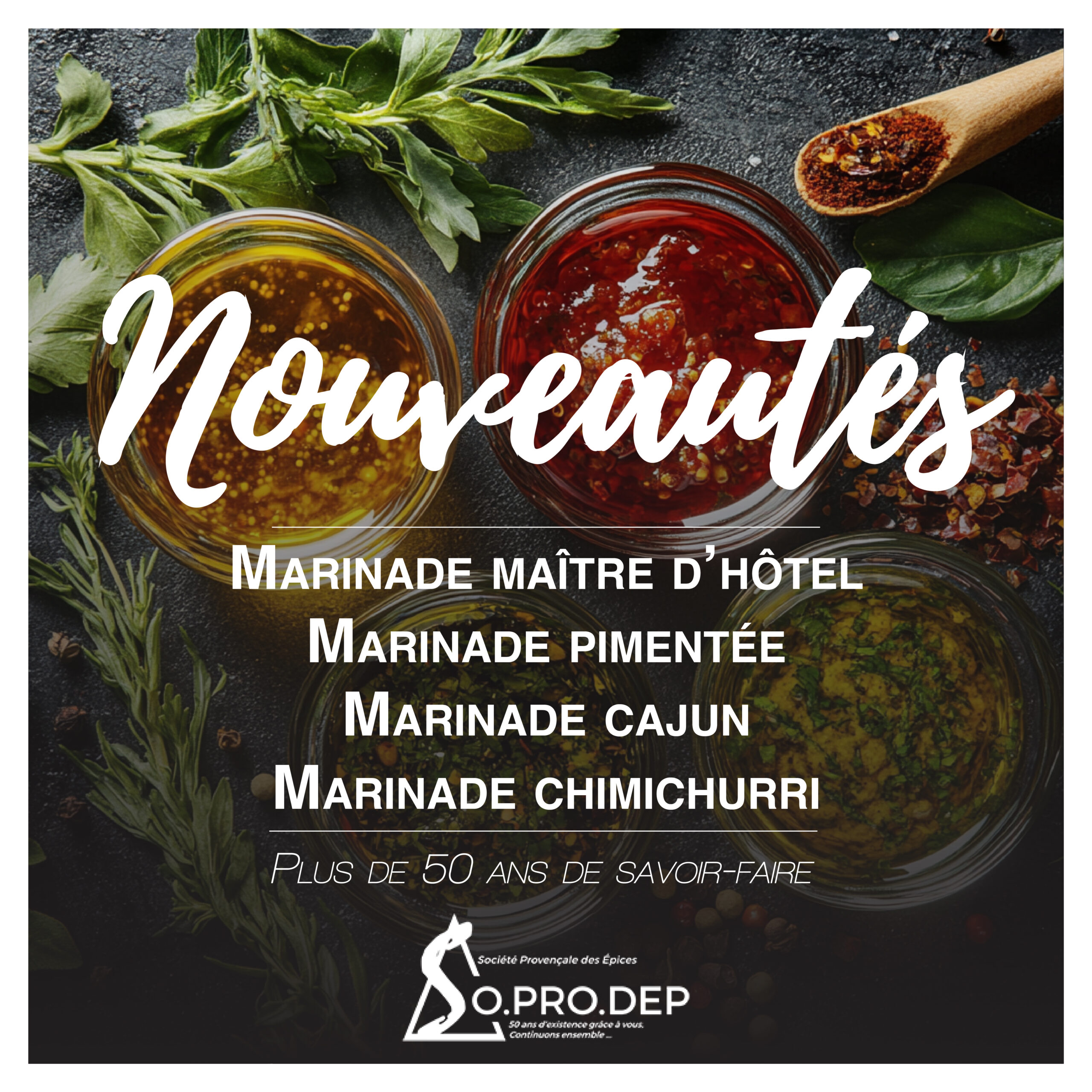 Nouveautés marinade charcuterie – assaisonnements prêts à l’emploi Nouveautés marinade charcuterie – assaisonnements prêts à l’emploi