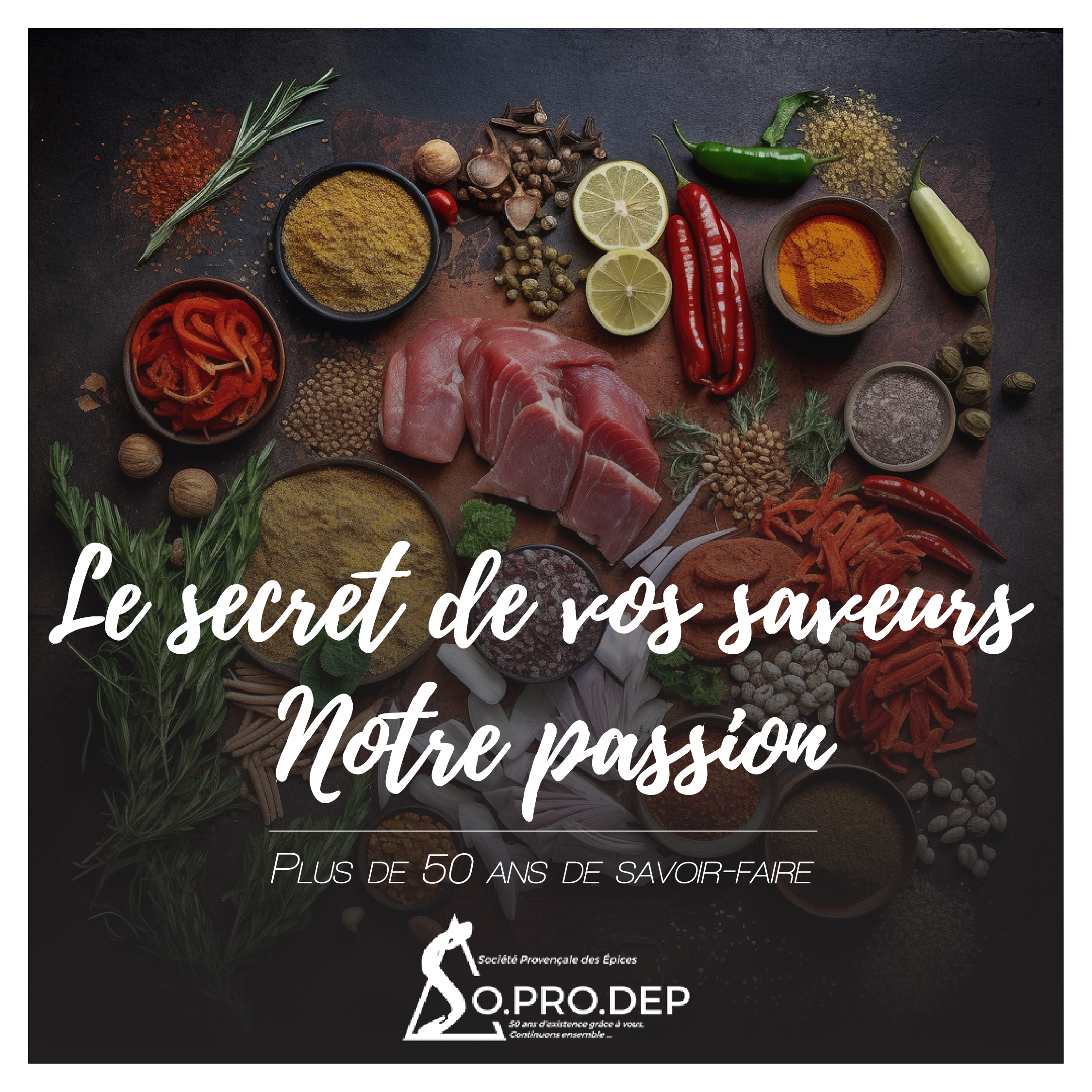 Fournisseur d’épices, assaisonnements & marinades Clean Label Parce que révéler le goût, c’est notre métier. Fournisseur d’épices, assaisonnements & marinades Clean Label<br />
Parce que révéler le goût, c’est notre métier.